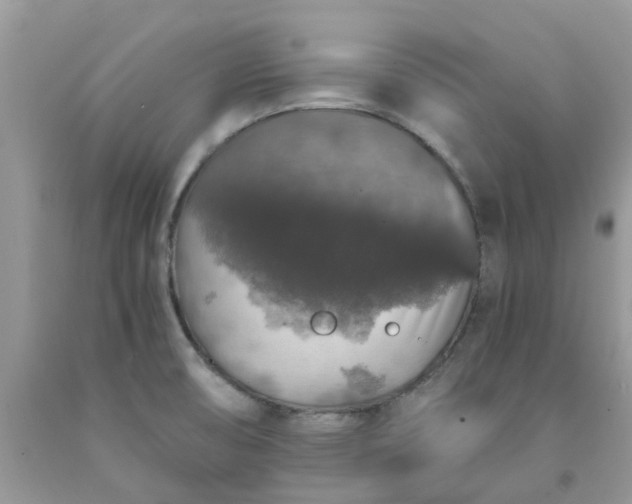 X0000091681474200709061053