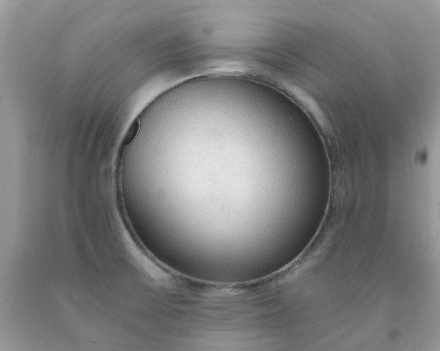 X0000091681475200709061053