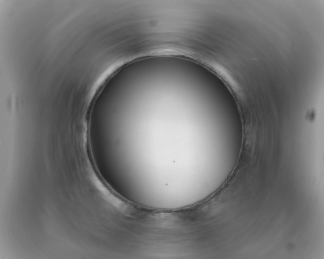 X0000091681476200709061053