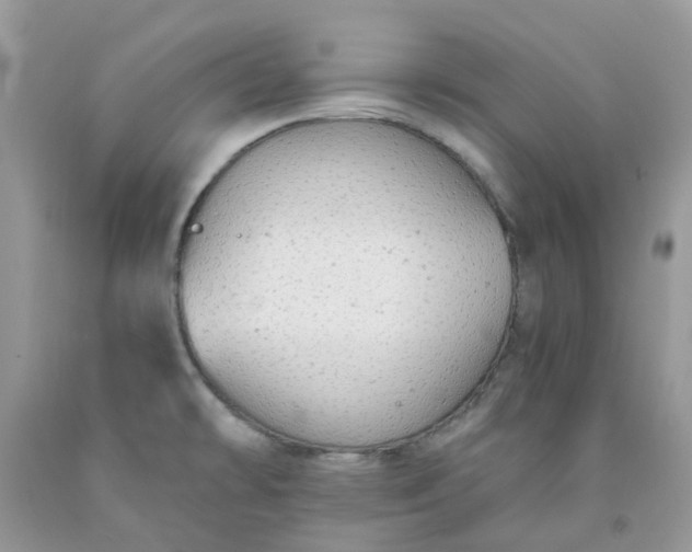 X0000091681478200709061053