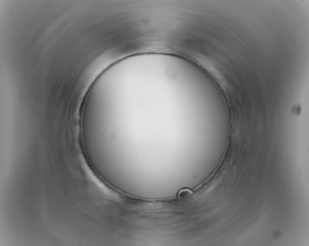 X0000091681479200709061053