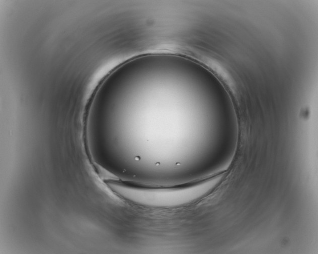 X0000091681480200709061053