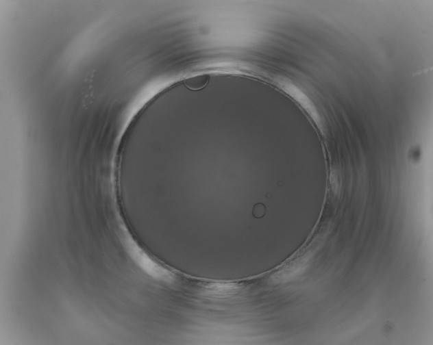 X0000091681482200709061053