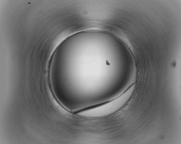 X0000091681483200709061053