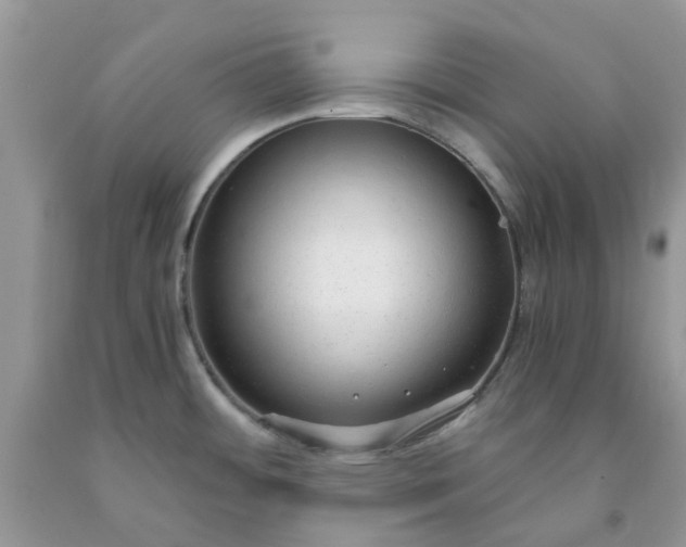 X0000091681484200709061053