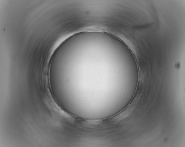 X0000091681486200709061053