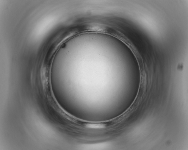 X0000091681487200709061053