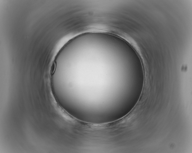 X0000091681488200709061053