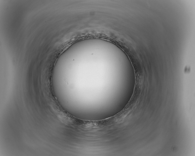 X0000091681489200709061052