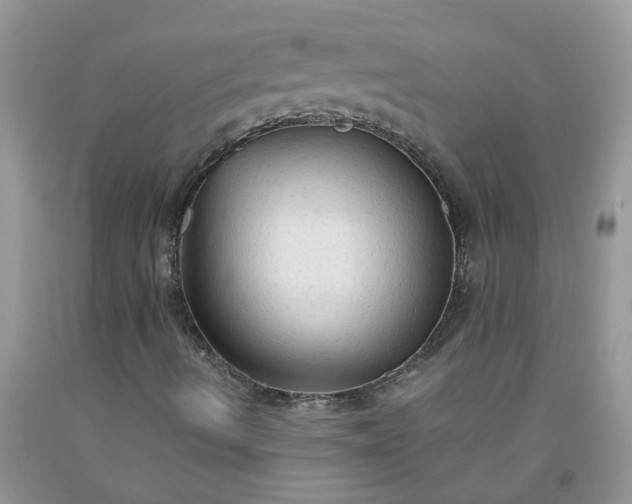 X0000091681490200709061052