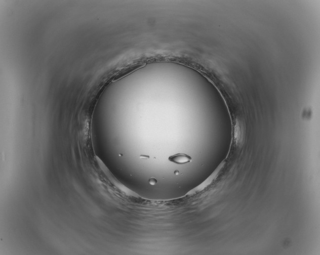 X0000091681492200709061052