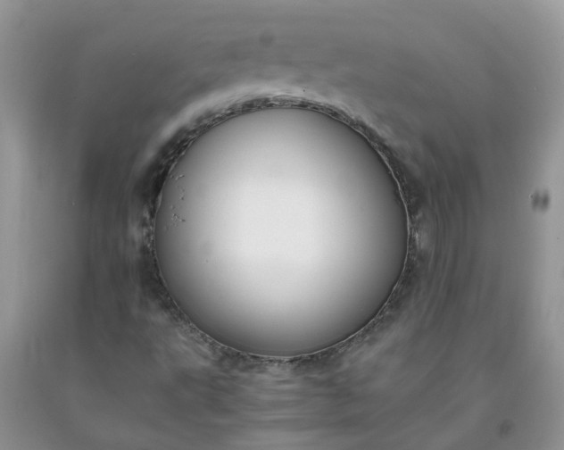 X0000091681495200709061053