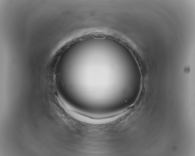 X0000091681496200709061053