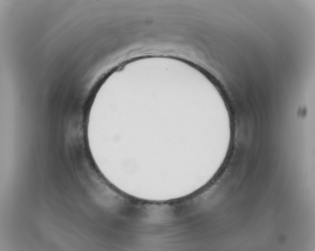 X0000091681498200709061053