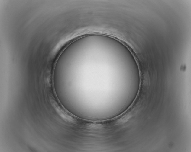 X0000091681499200709061053