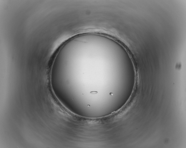 X0000091681501200709061053