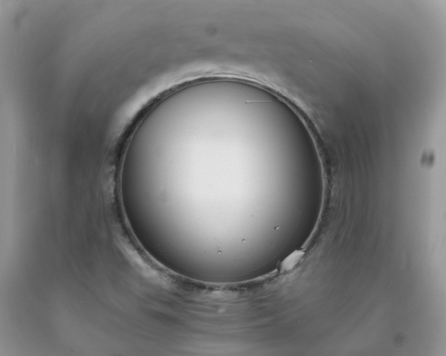 X0000091681503200709061053