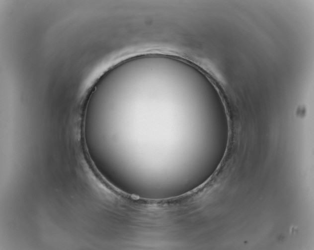 X0000091681504200709061053