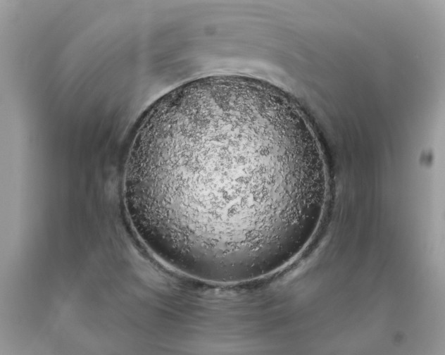 X0000091681505200709061053