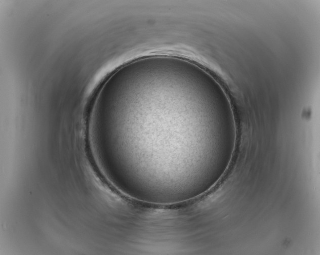 X0000091681506200709061053