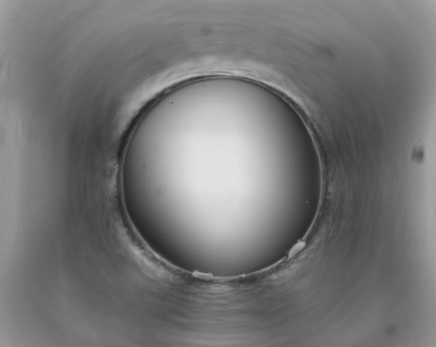 X0000091681507200709061053