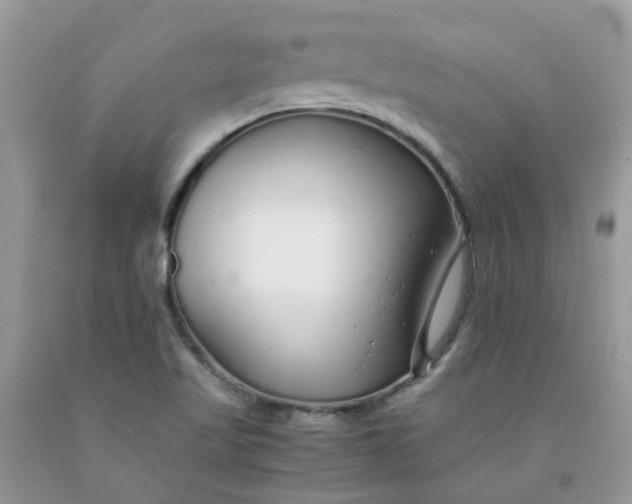 X0000091681509200709061053