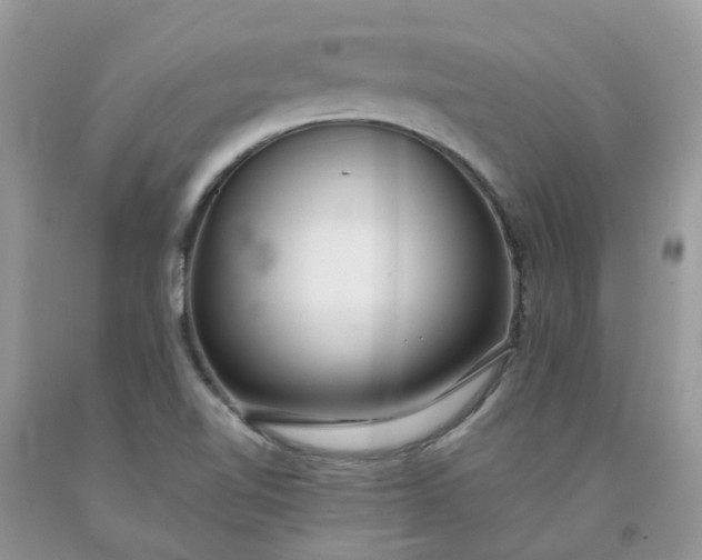 X0000091681510200709061053