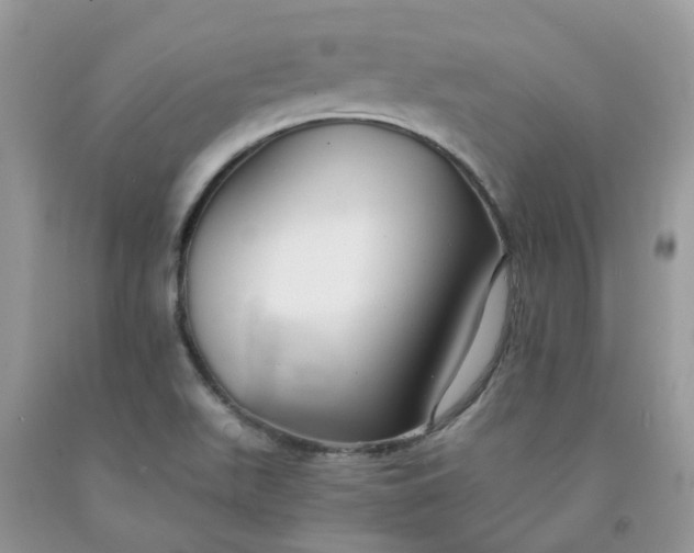 X0000091681511200709061053