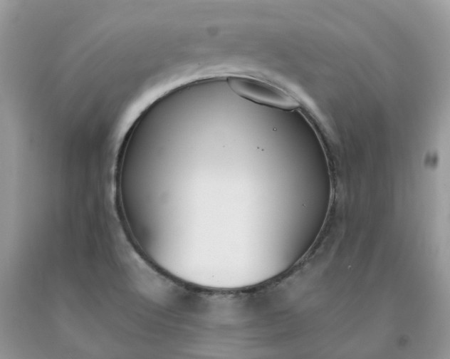 X0000091681512200709061053