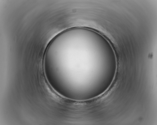 X0000091681513200709061053