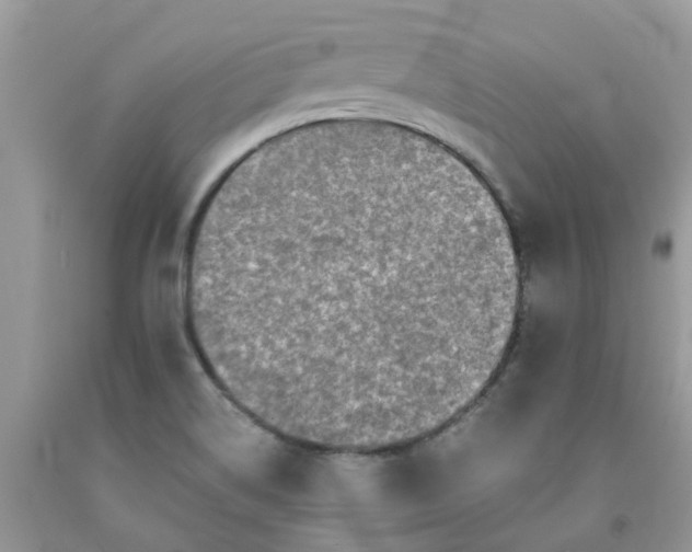 X0000091681514200709061053