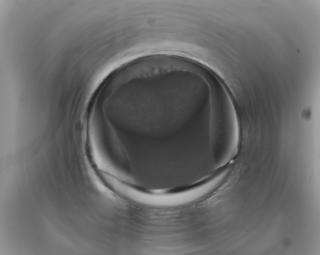 X0000091681515200709061053