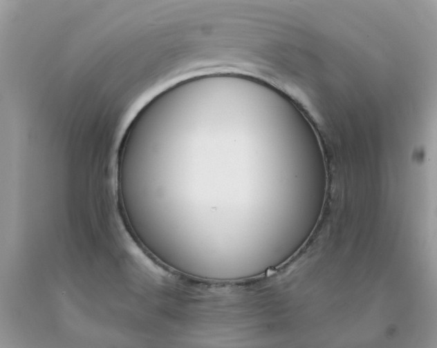 X0000091681516200709061053