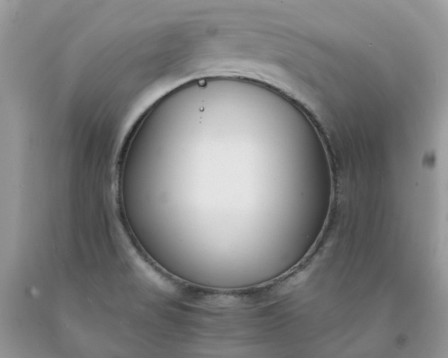 X0000091681517200709061053