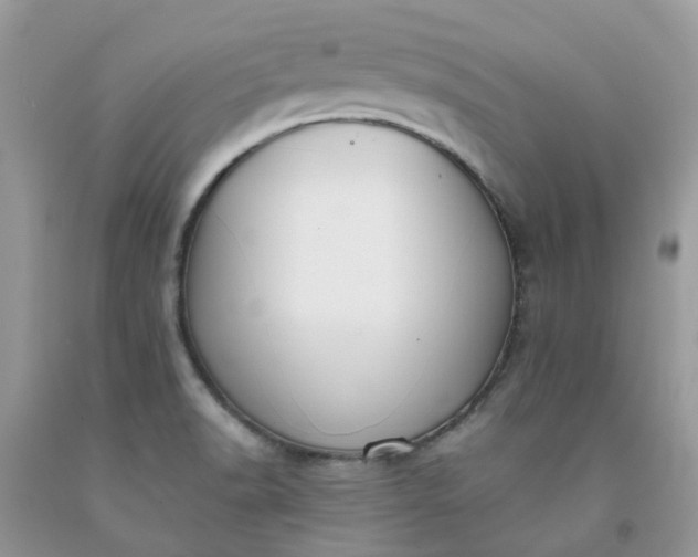 X0000091681518200709061053