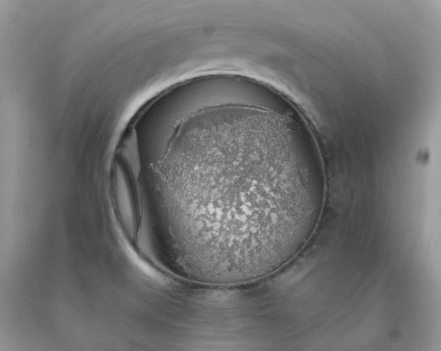 X0000091681519200709061053