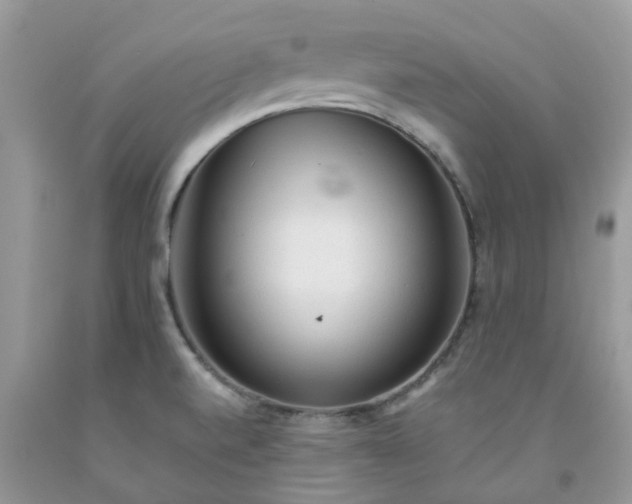 X0000091681520200709061053