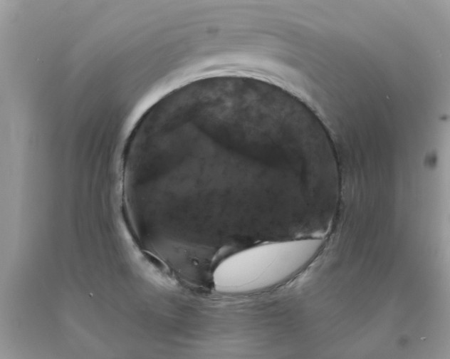 X0000091681522200709061053