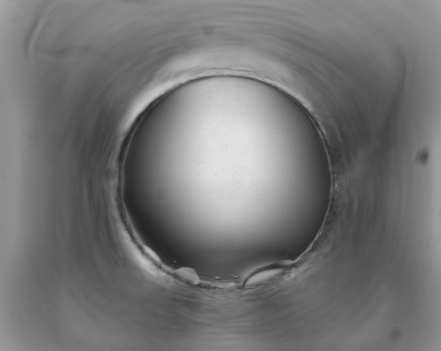 X0000091681523200709061053