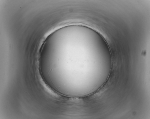 X0000091681526200709061053