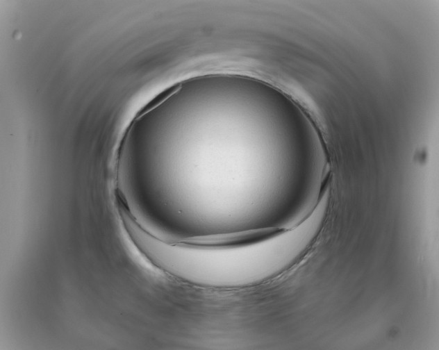X0000091681528200709061053