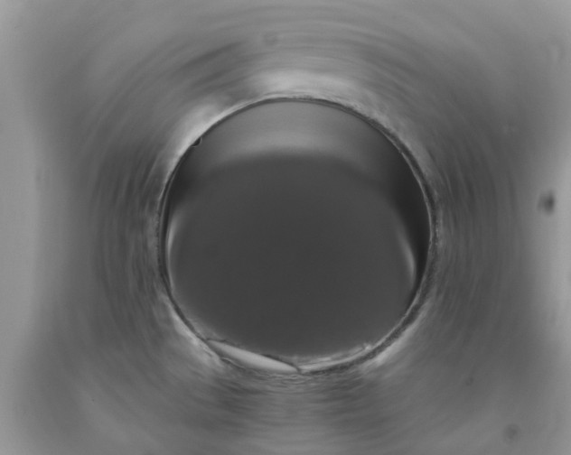 X0000091681529200709061053
