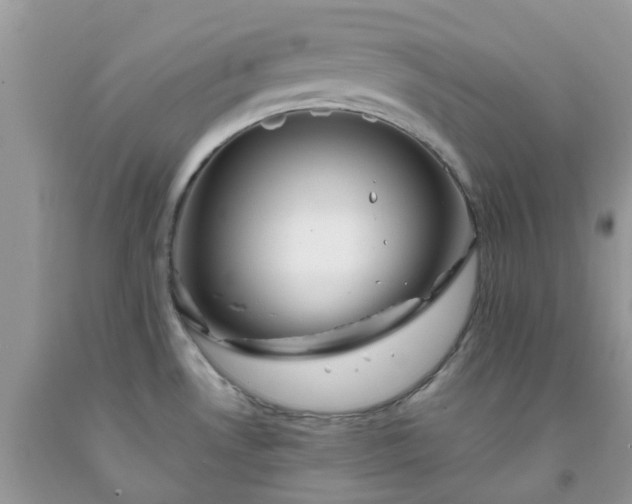 X0000091681530200709061053