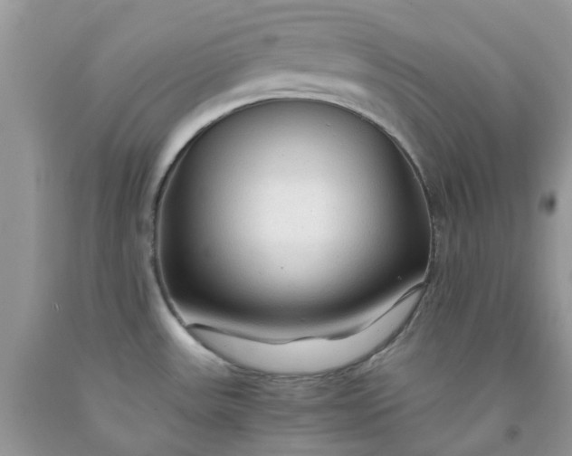 X0000091681531200709061053