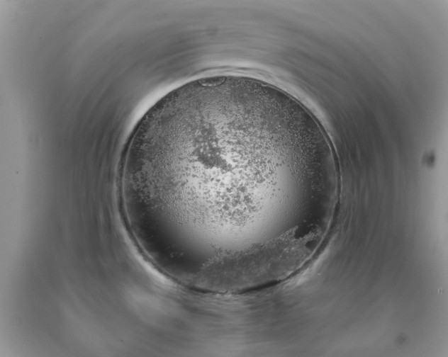 X0000091681533200709061053