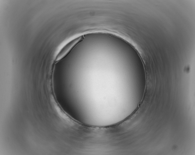 X0000091681534200709061053