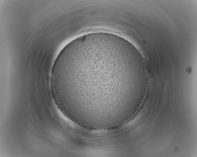 X0000091681535200709061053