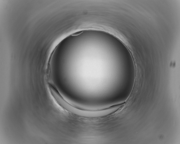 X0000091681536200709061053