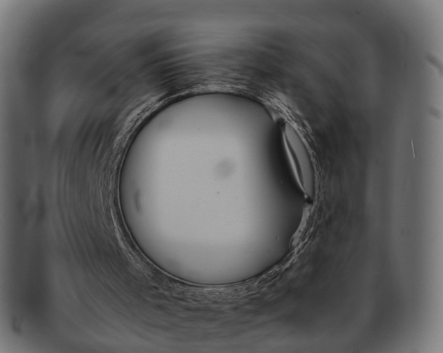 X0000091680001200709131556