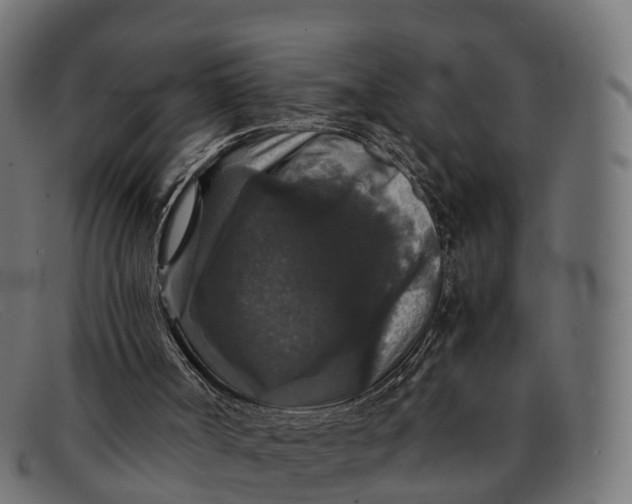 X0000091680002200709131556